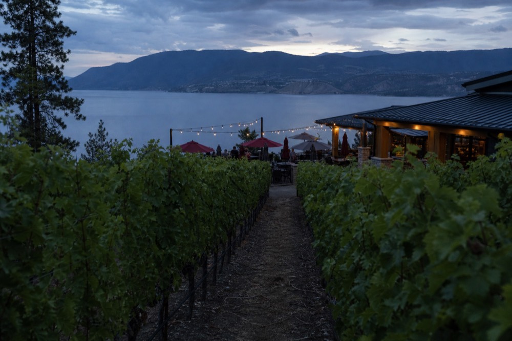 A group's-eye view down a vineyard row toward an outdoor tasting patio with umbrellas and lake beyond, no identifiable people, no branding, no text.