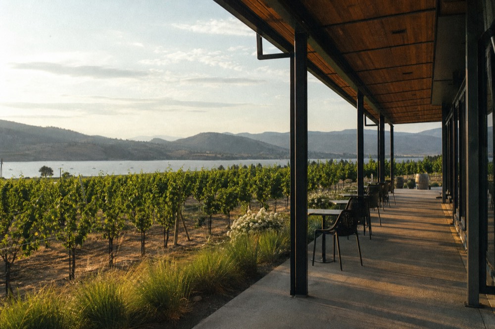 A newly built winery with fresh young vine plantings and a wide covered patio looking over a lake and hills under open sky, no people, no branding, no text.